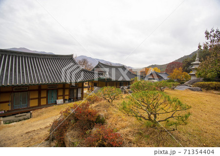 槐山郡 寺院 紅葉 71354404