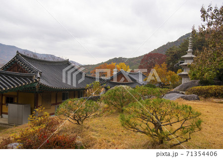 槐山郡 寺院 紅葉 71354406