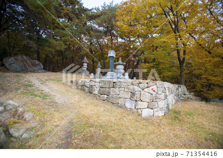 槐山郡 寺院 紅葉 71354416