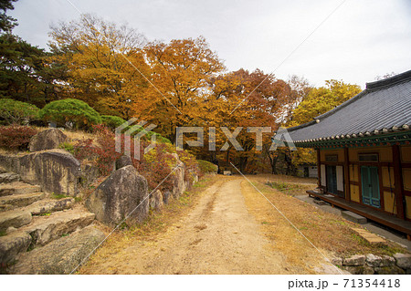 槐山郡 風景 寺院 71354418