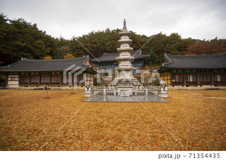 槐山郡 寺院 紅葉 71354435