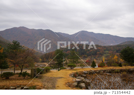 槐山郡 紅葉 秋 71354442