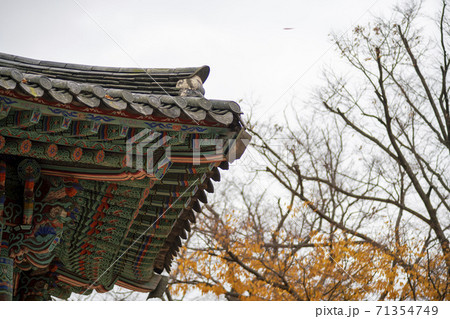 槐山郡 寺院 紅葉 71354749