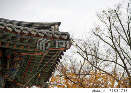 槐山郡 寺院 紅葉 71354753