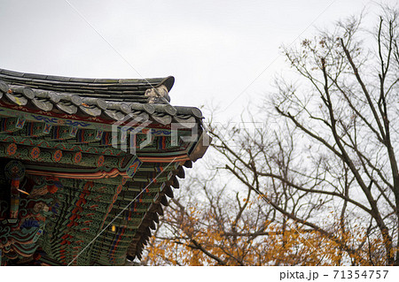 槐山郡 寺院 紅葉 71354757