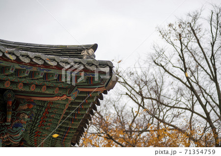 槐山郡 寺院 紅葉 71354759