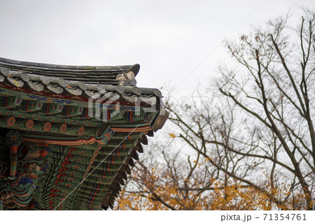 槐山郡 寺院 紅葉 71354761