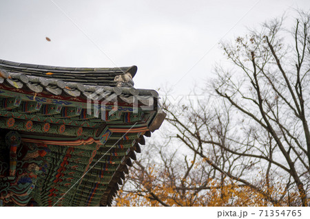 槐山郡 寺院 秋 71354765
