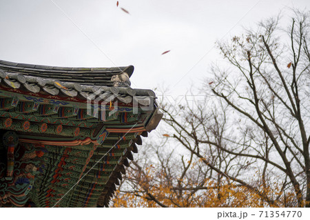 槐山郡 寺院 秋 71354770