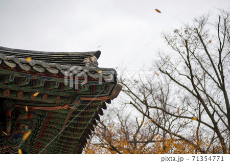 槐山郡 寺院 秋 71354771