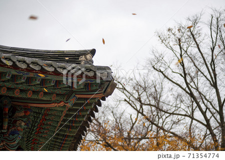 槐山郡 寺院 秋 71354774