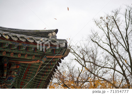 槐山郡 寺院 秋 71354777