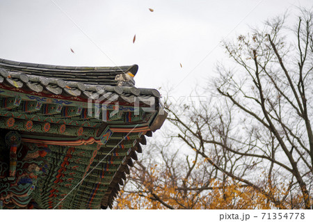 槐山郡 寺院 秋 71354778