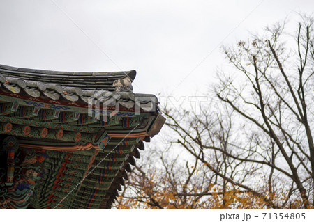槐山郡 寺院 秋 71354805