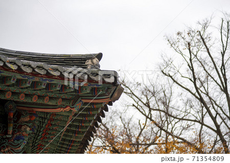 槐山郡 寺院 秋 71354809