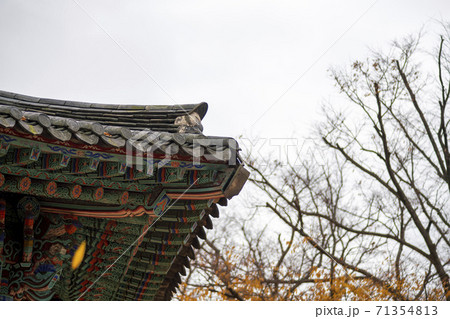 槐山郡 寺院 秋 71354813