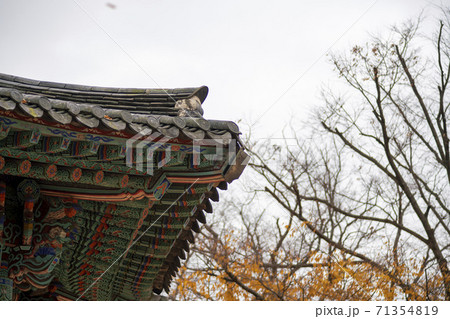 槐山郡 寺院 紅葉 71354819