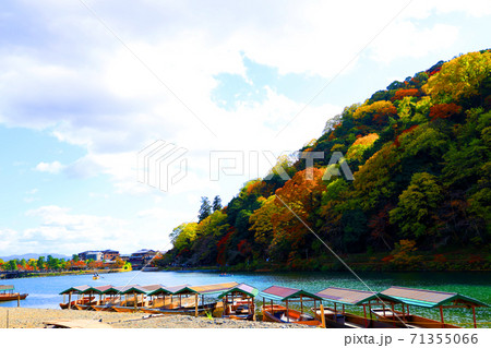 京都市右京区の桂川沿いの紅葉風景、京都、桂川、秋【11月】 京都市右京区の桂川沿いの紅葉風景、京都、桂川、秋【11月】 71355066