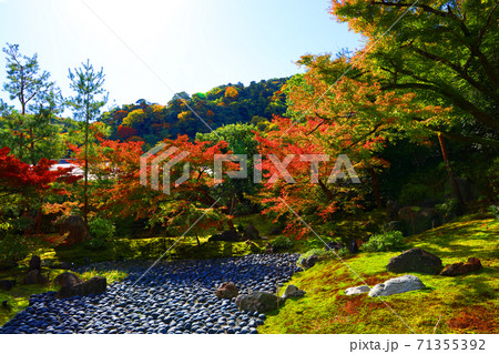 京都市右京区の宝厳院・天龍寺の風景（世界遺産）、京都、お寺、秋、歴史【11月】 71355392