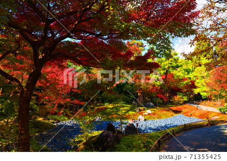 京都市右京区の宝厳院・天龍寺の風景（世界遺産）、京都、お寺、秋、歴史【11月】 71355425
