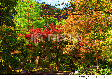 京都市右京区の宝厳院・天龍寺の風景（世界遺産）、京都、お寺、秋、歴史【11月】 71355426