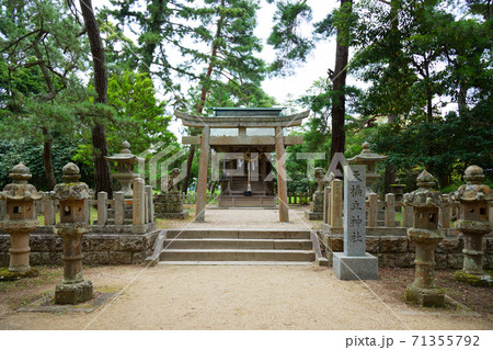 天橋立神社 天橋立 天橋立神社 天橋立 71355792