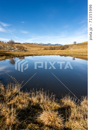 Small Lake for cows with reflections - Lessinia Plateau Veneto Italy Small Lake for cows with reflections - Lessinia Plateau Veneto Italy 71355996