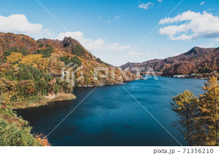 八ッ場あがつま湖と紅葉した山々 不動大橋からの見晴らし　2020.11　a-2 フィルム調 71356210