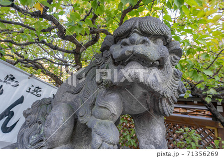 湯島天満宮 71356269