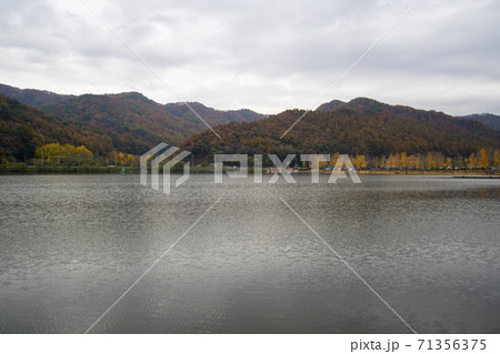 秋 槐山郡 風景 71356375