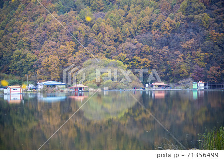 秋 槐山郡 風景 71356499
