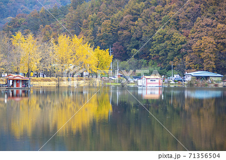 秋 槐山郡 風景 71356504