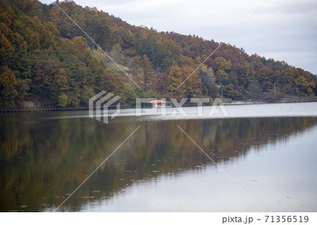 秋 槐山郡 風景 71356519