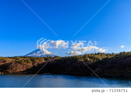 精進ブルーラインの駐車場から見えた精進湖と富士山 71356751