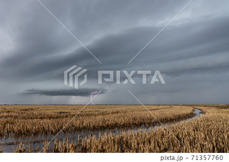 Lightning over the flooded rice fields in Albufera 71357760