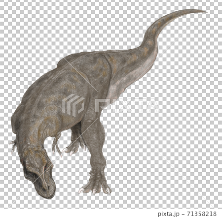 Tyrannosaurus Rex, the late Cretaceous carnivorous dinosaur king. View from diagonally above 71358218