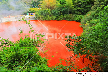 【大分県】血の池地獄（別府地獄めぐり） 71359079