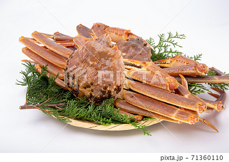 松葉ガニ 生 食材 松葉ガニ 生 食材 71360110
