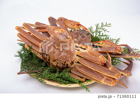 松葉ガニ　生　食材 71360111