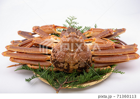 松葉ガニ　生　食材 71360113
