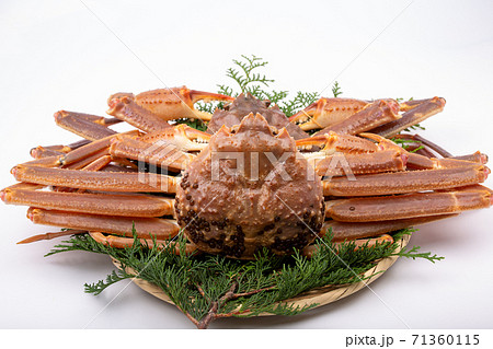 松葉ガニ　生　食材 71360115