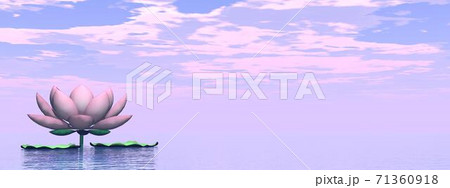 Lily flower - 3D render 71360918