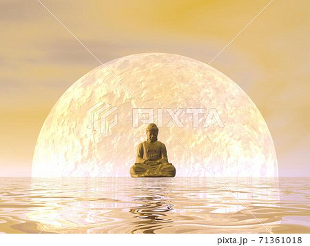 Night meditation - 3D render Night meditation - 3D render 71361018