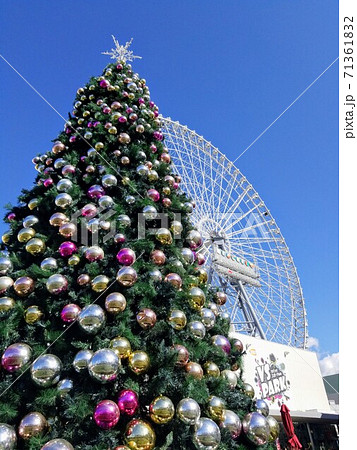 万博記念公園のクリスマスツリーと観覧車 71361832