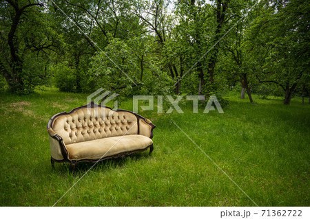 Luxurious old velour sofa on sunny lawn in green garden outdoors. Nobody. Copy space 71362722