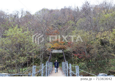 晩秋の刈込池 ハイキング(福井県 大野市) 晩秋の刈込池 ハイキング(福井県 大野市) 71363642