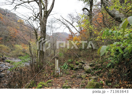 晩秋の刈込池(福井県 大野市) 晩秋の刈込池(福井県 大野市) 71363643