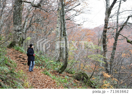 晩秋の刈込池 ハイキング（福井県 大野市） 71363662
