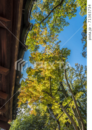 愛知県　名古屋市　揚輝荘北園 71363734