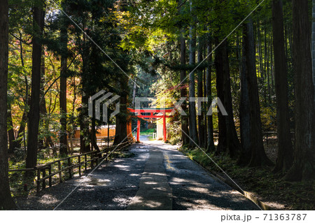 世界遺産 岩手中尊寺白山神社参道鳥居 世界遺産 岩手中尊寺白山神社参道鳥居 71363787